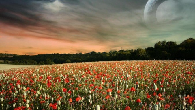 毕设答辩，老师说node不可能写后台怎么办?